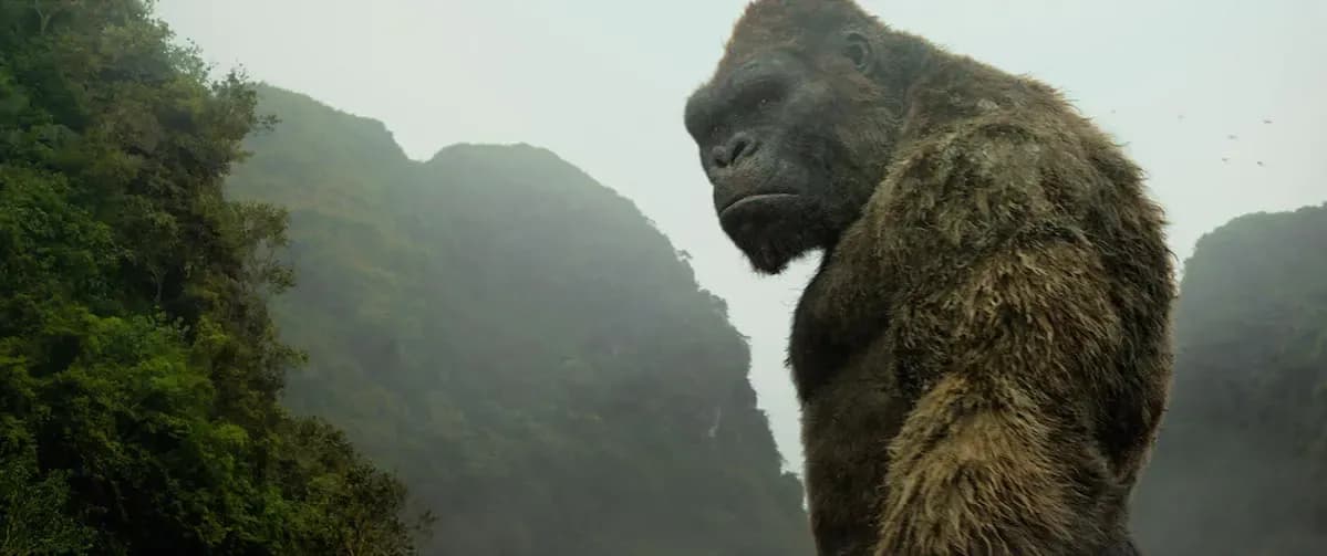 Kong: Wyspa Czaszki 2 - Co wiemy o kontynuacji hitowego filmu?